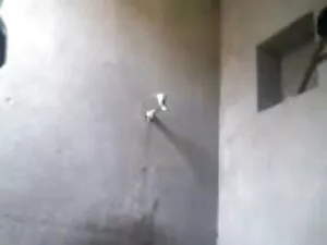 अश्लील वीडियो - गिरोह के कई धमाकों में इस्तेमाल मेरी पत्नी प्रियंका चोपड़ा की सेक्सी फुल मूवी का संग्रह