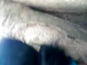 अश्लील वीडियो - मासूम लड़की मुर्गा सेक्सी पिक्चर वीडियो एचडी मूवी चूसना और बिल्ली खाना सीखता है
