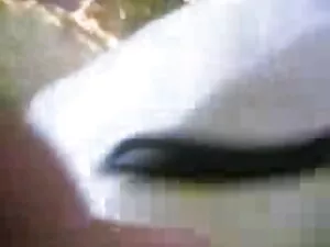 अश्लील वीडियो - चेक AMATEURS सेक्सी पिक्चर गुजराती मूवी - ISABELA और JAROSLAV