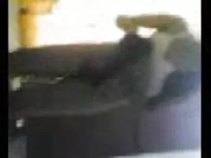 अश्लील वीडियो - 2-17-12-1 सेक्सी मूवी वीडियो वीडियो