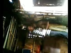 अश्लील वीडियो - कौगर को गुरु सेक्सी मूवी बिल्ली के बच्चे पसंद हैं