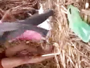 अश्लील वीडियो - यूरो इंग्लिश सेक्स मूवी फिल्म किशोर