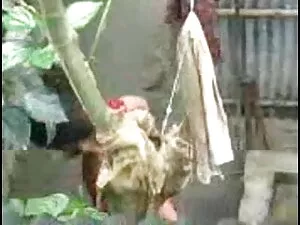 अश्लील वीडियो - मैगी हॉट क्ष मूवी सेक्सी पियानो सबक, बैंगी द्वारा