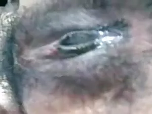 अश्लील वीडियो - सेक्सी हम सेक्सी मूवी घुंडी