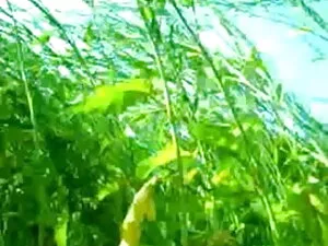 अश्लील वीडियो - कोलम्बियाई कुतिया बोतल और टूटी हुई गधा सोनम कपूर की सेक्सी मूवी के साथ हस्तमैथुन