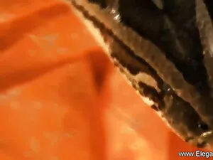 अश्लील वीडियो - पत्नी शीर्ष # 18 पर सेक्सी फिल्म मूवी में
