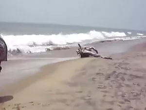अश्लील वीडियो - चेस भोजपुरी मूवी वीडियो सेक्स बनाम डेज़ी